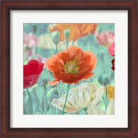 Framed 'Poppies in Bloom I' border=