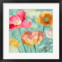 Framed Poppies in Bloom II