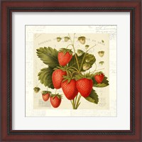 Framed 'Fraises' border=