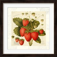 Framed 'Fraises' border=