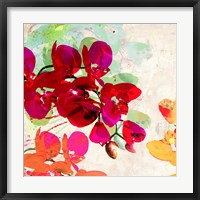 Framed Orchidreams (detail)