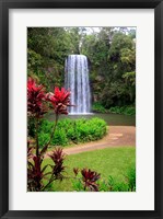 Framed Millaa Millaa Falls, Queensland, Australia