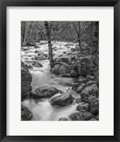 Framed Yosemite Happy Isles, California (BW)