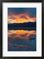 Framed Lone Branch At Cotton Ball Basin