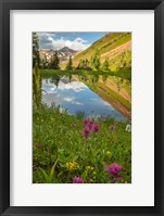 Framed Paradise Divide Pond Reflection