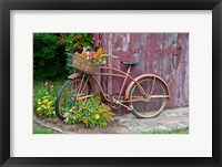 Framed Old Bicycle With Flower Basket, Marion County, Illinois