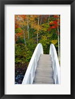 Framed White Footbridge Path, Maine