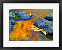 Framed Michigan, Upper Peninsula Fall Colors Reflecting In River With Leaves Floating