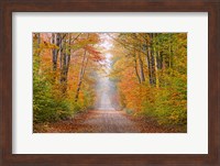 Framed Autumn Road In Schoolcraft County, Michigan