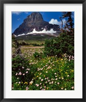 Framed Clements Mountain, Glacier National Park, Montana