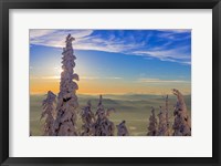 Framed Snowghosts In Whitefish, Montana