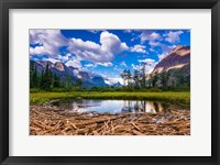 Framed Driftwood And Pond, Saint Mary Lake, Glacier National Park, Montana