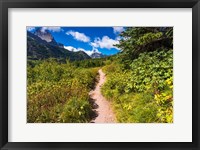 Framed Iceberg Lake Trail, Glacier National Park, Montana