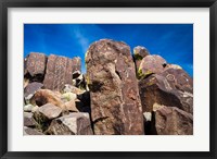 Framed Petroglyphs At Three Rivers Petroglyph Site, Three Rivers, New Mexico