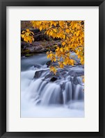 Framed Rogue River Waterfalls In Autumn, Oregon