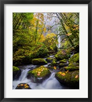 Framed Mccord Creek In Autumn, Oregon