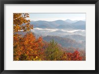 Framed Morning Light Fog Viewed From Foothills Parkway