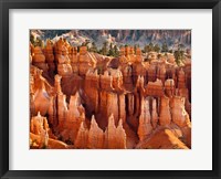 Framed Morning Light On The Hoodoos Of Bryce Canyon National Park