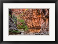 Framed Zion Narrows, Utah