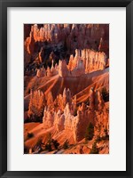 Framed Sunrise Point Hoodoos In Bryce Canyon National Park, Utah