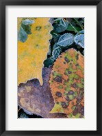 Framed Frost Covered Aspen Leaves And Clover