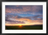 Framed Sunset Cast On Rolling Hills Of Green, Washington State