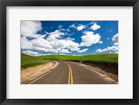 Framed Backroad Through The Green Fields Of Washington