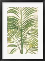 Palms II Bright Framed Print