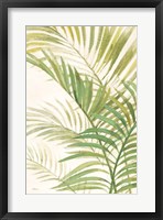 Framed Palms I Bright