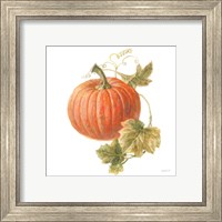 Framed 'Floursack Autumn VIII on White' border=