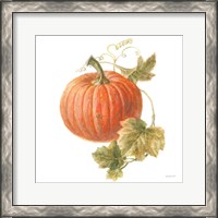 Framed 'Floursack Autumn VIII on White' border=