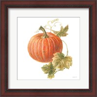 Framed 'Floursack Autumn VIII on White' border=