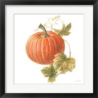 Framed 'Floursack Autumn VIII on White' border=