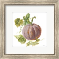 Framed 'Floursack Autumn VII on White' border=