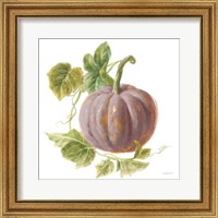 Framed 'Floursack Autumn VII on White' border=