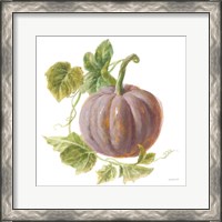 Framed 'Floursack Autumn VII on White' border=