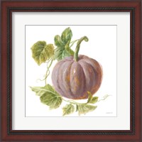 Framed 'Floursack Autumn VII on White' border=