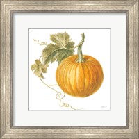 Framed 'Floursack Autumn VI on White' border=