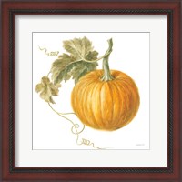 Framed 'Floursack Autumn VI on White' border=