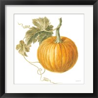 Framed 'Floursack Autumn VI on White' border=