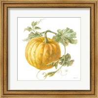 Framed 'Floursack Autumn V on White' border=