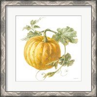 Framed 'Floursack Autumn V on White' border=