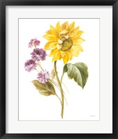 Floursack Autumn III on White Framed Print