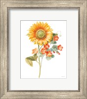 Framed 'Floursack Autumn IV on White' border=