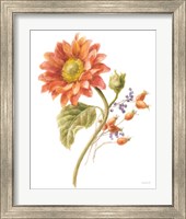 Framed 'Floursack Autumn II on White' border=