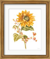 Framed 'Floursack Autumn I on White' border=