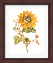 Framed 'Floursack Autumn I on White' border=