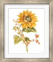 Framed 'Floursack Autumn I on White' border=