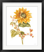 Framed 'Floursack Autumn I on White' border=