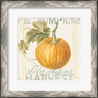 Framed 'Floursack Autumn VI' border=